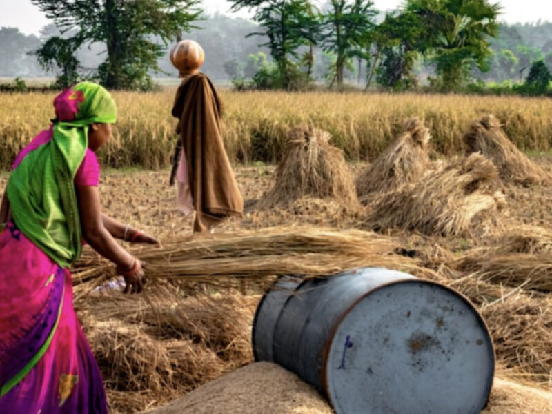 India Will Open Its Market To US Farming Industry